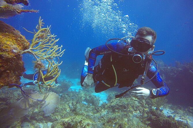 2 Days Class: SDI Open Water Diver Certification in Cancun - Getting to the marina and managing the early start