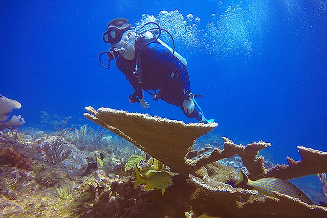 2 Days Class: SDI Open Water Diver Certification in Cancun - Health, swimming, and flight restrictions