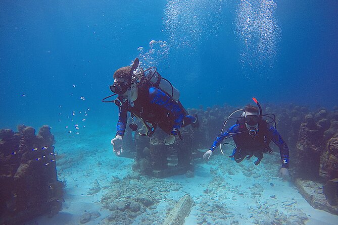 2 Days Class: SDI Open Water Diver Certification in Cancun - Does $600 offer fair value?