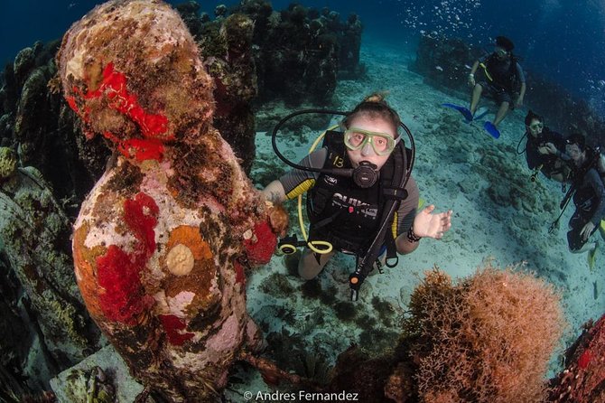 2 Tank Dives MUSA and Manchones reef (Certified divers) - Why MUSA is more than an underwater photo stop