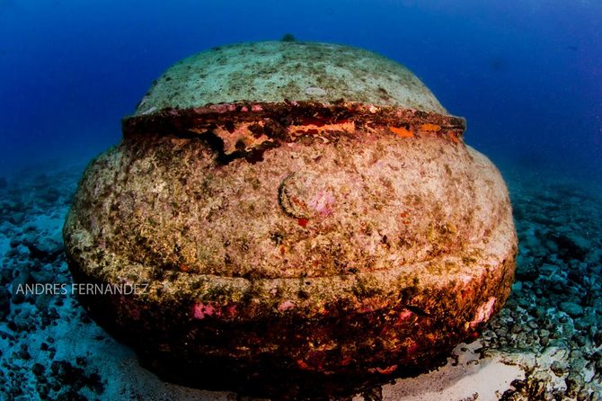 2 Tank Dives MUSA and Manchones reef (Certified divers) - The morning schedule at Squalo Adventures