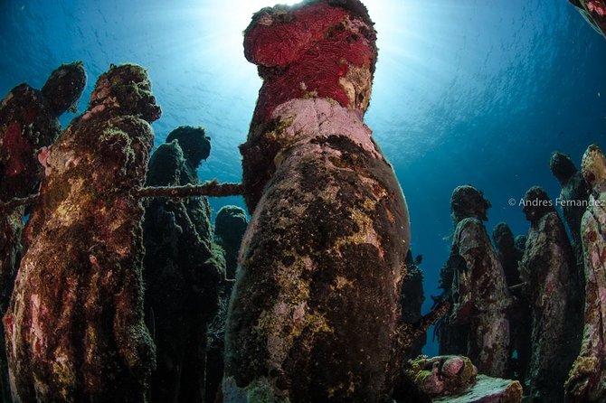 2 Tank Dives MUSA and Manchones reef (Certified divers) - Equipment, snacks, and what the price really covers
