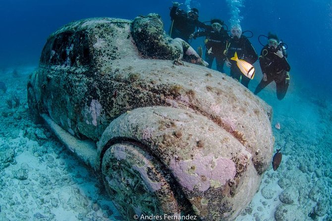 2 Tank Dives MUSA and Manchones reef (Certified divers) - Marine life at MUSA and Manchones