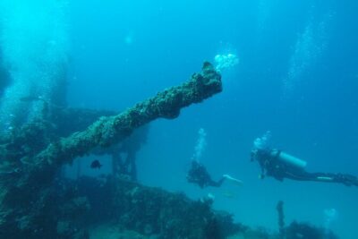 2 Tank Reef Dive in Mexico