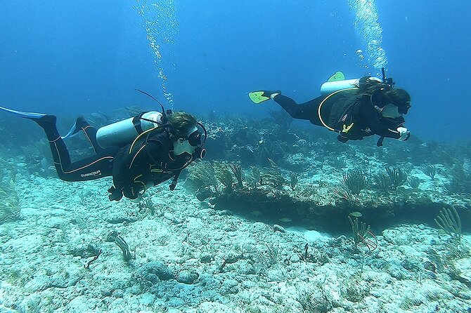 2 Tank Reef Dive in Mexico - What the $149 price really covers