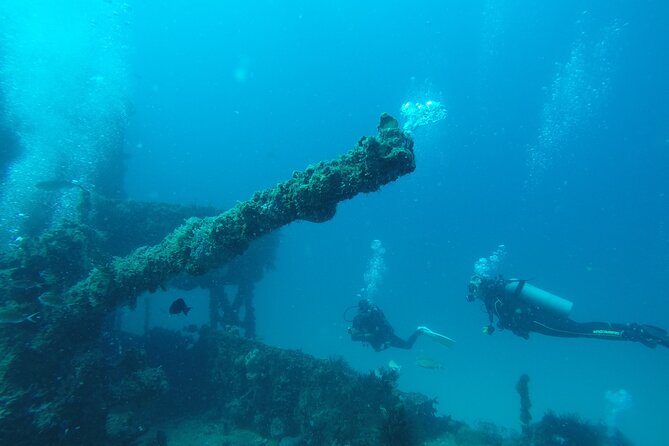 2 Tank Reef Dive in Mexico - What happens before you board