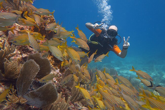 2 Tanks Dives Cancun Underwater Museum for Certified Divers - Equipment is included, with no wetsuit surprise