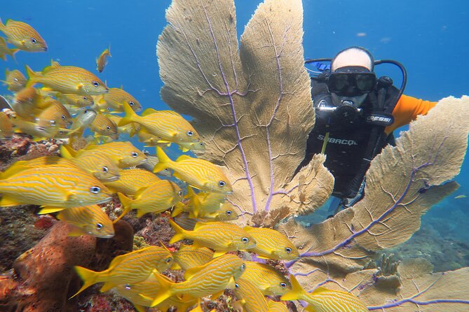 2 Tanks Dives Cancun Underwater Museum for Certified Divers - Safety and comfort deserve attention