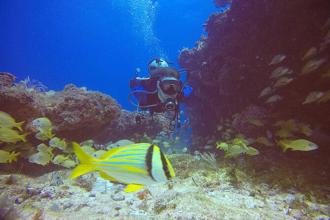 2 Tanks Scuba Diving in Punta Cancun Reefs for Certified Divers - What the boat ride adds to the outing