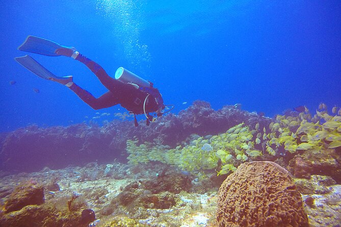 2 Tanks Scuba Diving in Punta Cancun Reefs for Certified Divers - Medical rules are strict for good reason