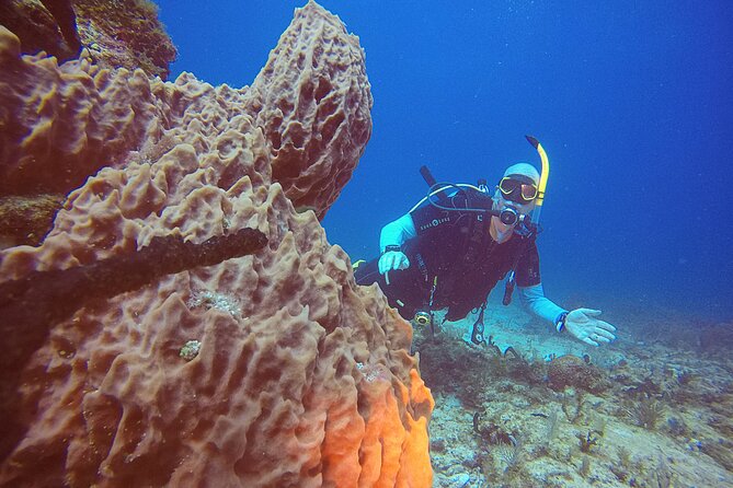2 Tanks Scuba Diving in Punta Cancun Reefs for Certified Divers - Who should book this afternoon trip?