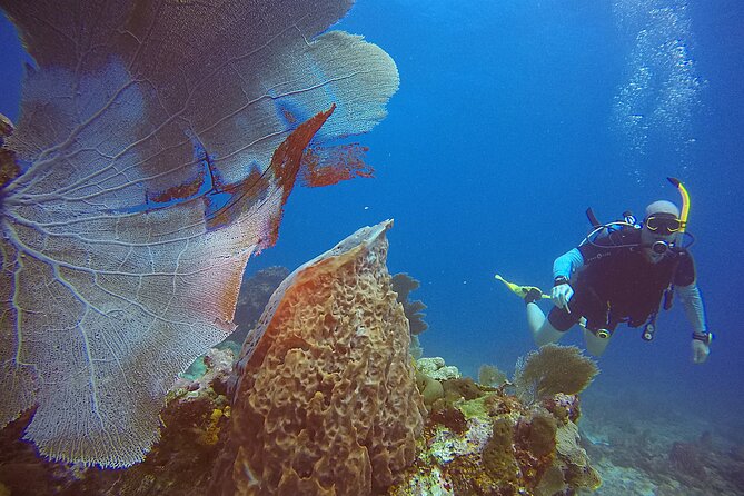 2 Tanks Scuba Diving Wreck and Reef in Cancun for Certified Divers - Equipment Fitting and Boat Preparation
