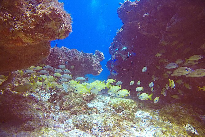 2 Tanks Scuba Diving Wreck and Reef in Cancun for Certified Divers - What to Pack and What to Leave Behind