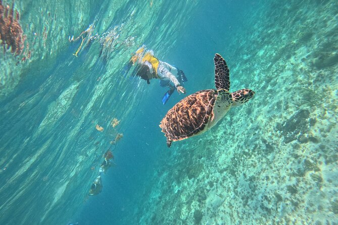 3 in 1 Jungle Speedboat and Snorkeling in Cancun - Photos, lockers, and the actual value