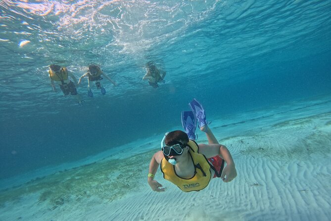 3 in 1 Jungle Tour Adventure Cancun - A small group and an English-speaking guide