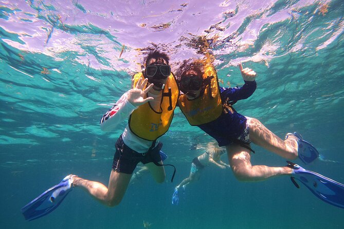 3 in 1 Jungle Tour Adventure Cancun - Getting to Marina Chac Chi