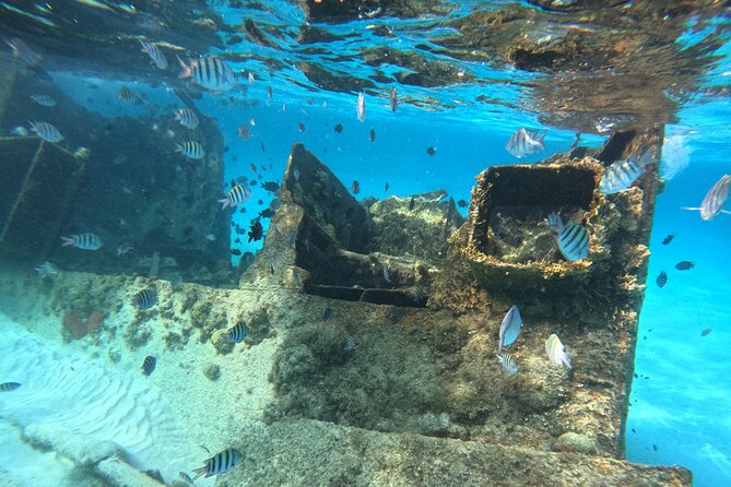 3 in 1 Jungle Tour Adventure Cancun - What to bring and what to expect at check-in
