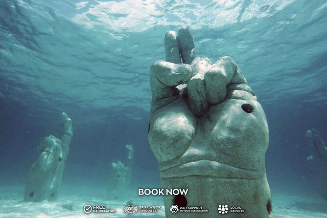 3-in-1 Puerto Morelos: Snorkeling, Tequila & Beachside Lunch - What can go wrong, and how to protect your day