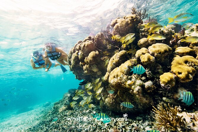 3-in-1 Puerto Morelos: Snorkeling, Tequila & Beachside Lunch - Is $39 a fair price?