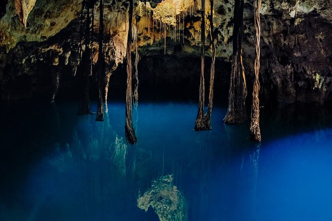 4-in-1 Cenote Tour Guided Experience with Breakfast, Lunch & Wine - Who should book this cenote tour?