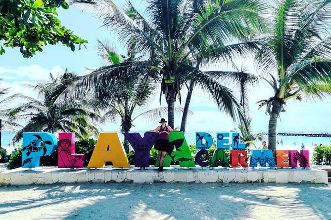 4 PLACES 1 DAY Tour to Coba and Tulum Ruins, Cenote and Playa del Carmen. - One hour on Quinta Avenida