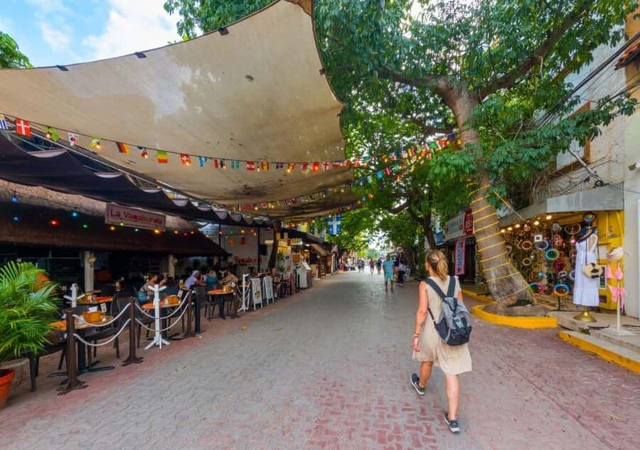 4X1 Tour: Coba and Tulum Ruins, Cenote and Playa del Carmen - What the $119 price really covers