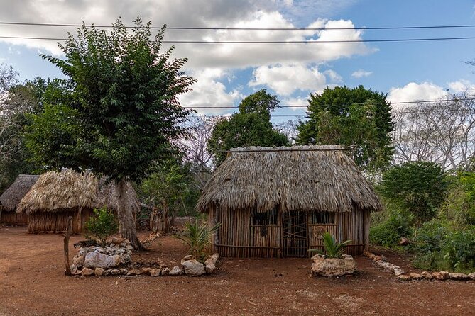 4x1 tour:Tulum/Coba,Cenote,Mayan Village& 5th Av Playa del Carmen - Key points to know before booking