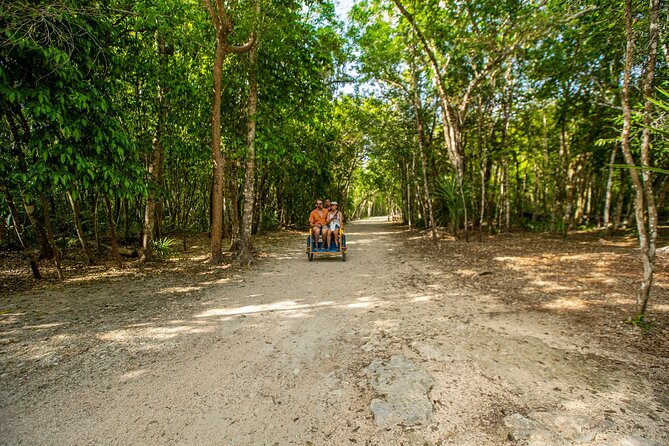 4x1 Tulum, Coba, Cenote & Playa del Carmen from Cancun - Playa del Carmen: one hour on Fifth Avenue