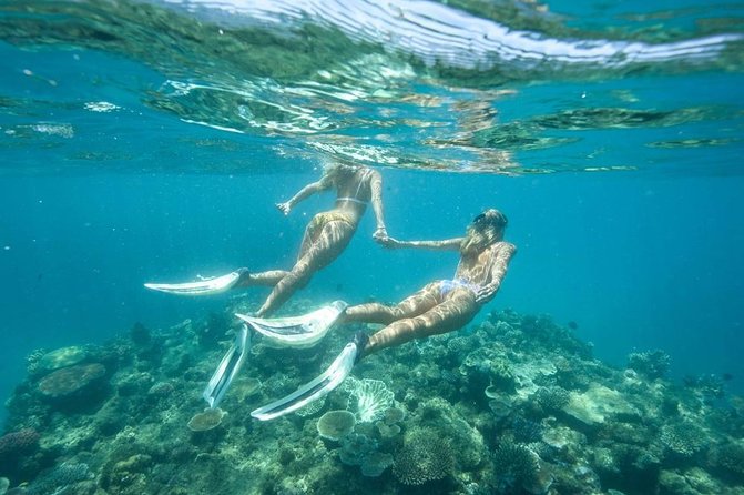 5-in-1 Adventure in Cancun: ATVs, Ziplines, Speed Boat, Snorkel and Cenote Swim - Is $129.99 a good value?
