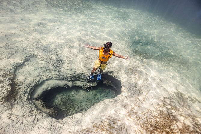 5-in-1 Cancun Snorkeling Tour with Sea Life & Transport Included - Five Cancun sites packed into 2.5 hours