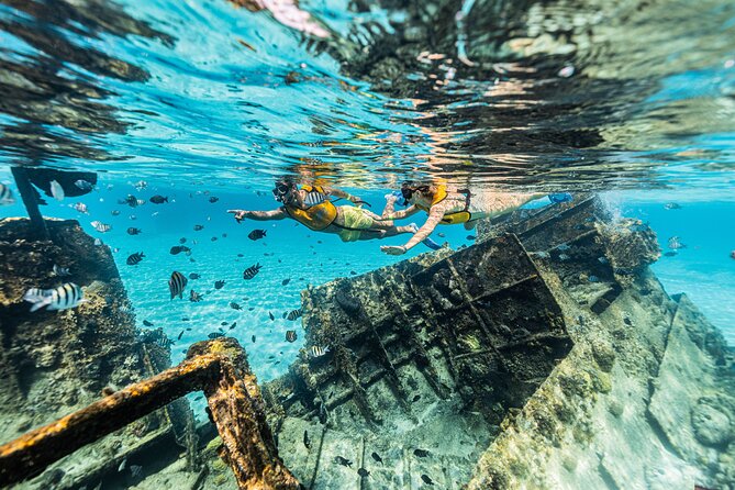 5-in-1 Cancun Snorkeling Tour with Sea Life & Transport Included - The $20 dock fee and meeting point
