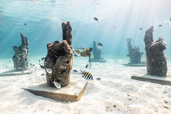 5-in-1 Cancun Snorkeling: Turtles, Reef, Musa, Shipwreck, Cenote - The reef, where the fish are the main event