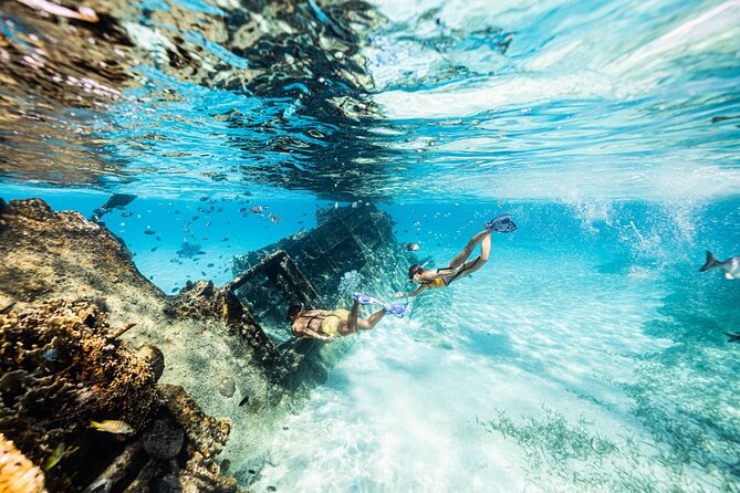 5-in-1 Cancun Snorkeling: Turtles, Reef, Musa, Shipwreck, Cenote - Sea turtles and possible rays