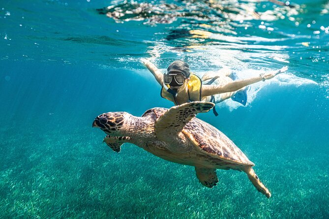 5-in-1 Cancun Snorkeling: Turtles, Reef, Musa, Shipwreck, Cenote - The cenote stop, a different kind of water