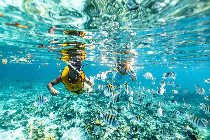 5-in-1 Cancun Snorkeling: Turtles, Reef, Musa, Shipwreck, Cenote - Getting comfortable before entering the water