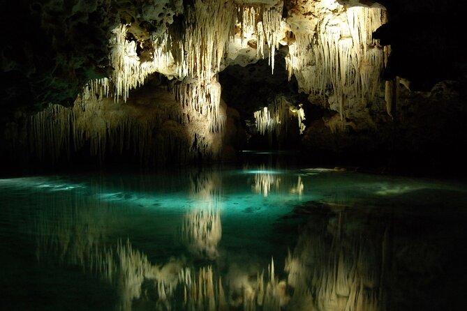 A secret river adventures tour. Explore the nature wonders of the Riviera Maya - Hiking and learning inside Rio Secreto