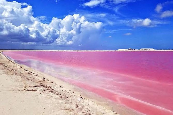 Adventour Day: Coloradas and Rio Lagartos Excursion from Cancun! - Why Las Coloradas is worth the long ride