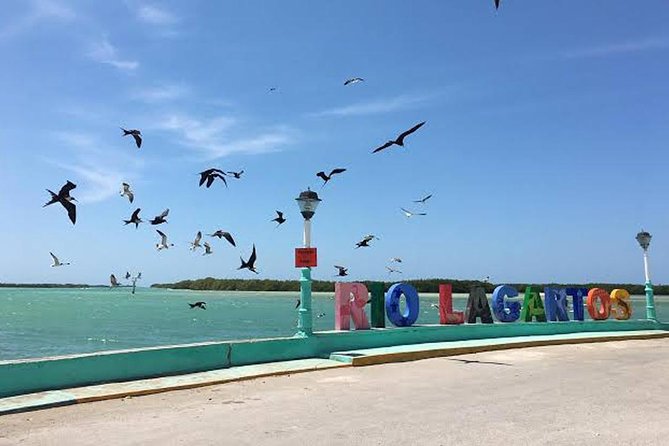 Adventour Day: Coloradas and Rio Lagartos Excursion from Cancun! - What to pack for the salt lagoons and mangroves