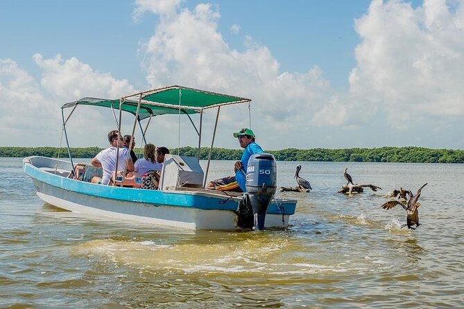 Adventour Day: Coloradas and Rio Lagartos Excursion from Cancun! - Who will enjoy this excursion most