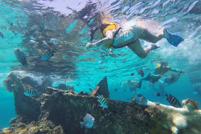All-Inclusive Isla Mujeres Catamaran with Free Transportation - What the $119 price really covers