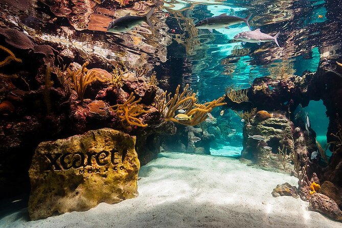 All-inclusive Xcaret Park with Transportation from Cancun & Playa Del Carmen - A full day at Xcaret, from water to show