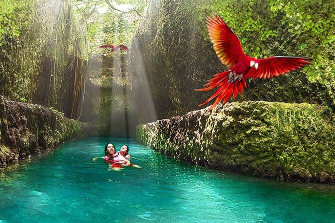 All-inclusive Xcaret Park with Transportation from Cancun & Playa Del Carmen - Who will get the most from Xcaret?