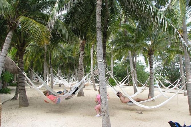 All Inclusive - Xel-Ha Park Tour from Cancún & Playa del Carmen - Snorkeling, river swimming, and the five-meter jumps
