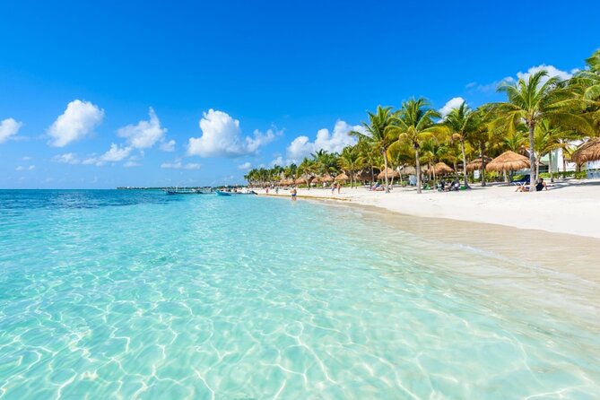 Amazing Adventure in Akumal. Swim with turtles and discover Tulum Ruins. - Akumal turtle snorkeling and the reality of crowds