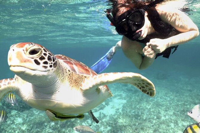 Amazing Adventure in Akumal. Swim with turtles and discover Tulum Ruins. - Two hours among Tulum’s Maya ruins