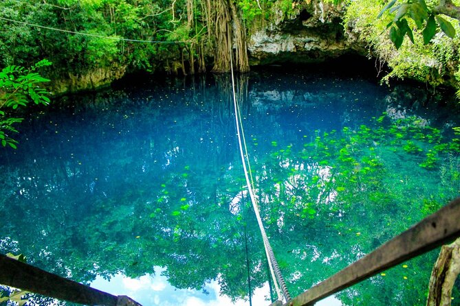 Amazing ATV Tour, Ziplines and Cenote Swim with Lunch and round trip included - Swimming in a Maya cenote