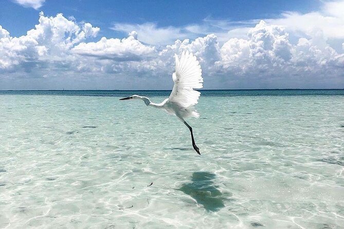 Amazing HOLBOX Full day tour and Cenote swim experience from Cancun! - What the 119.90 USD price really covers