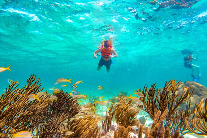 Amazing Snorkeling Experience + Real Mexican Tacos - Free time in Puerto Morelos adds useful breathing room