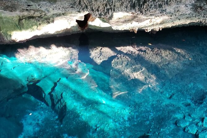 Archaeological Tour in Tulum and Coba with Kuxtal Cenote - Who will get the most from this day