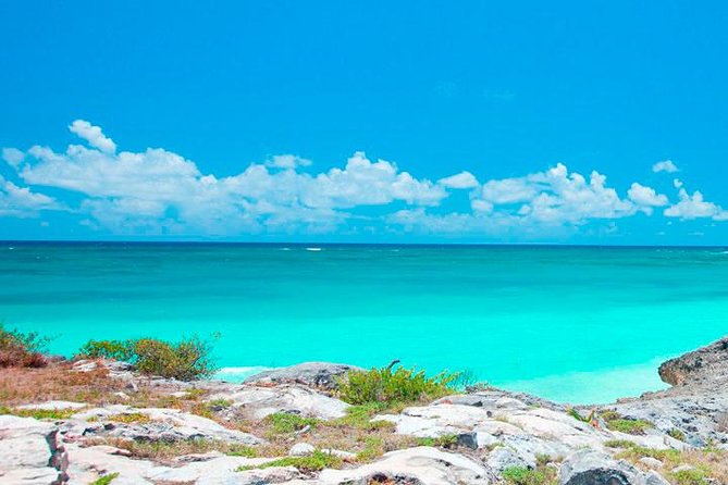 Best Tour to Tulum, Coba and Playa Del Carmen. No hidden fees! - Who should book this experience